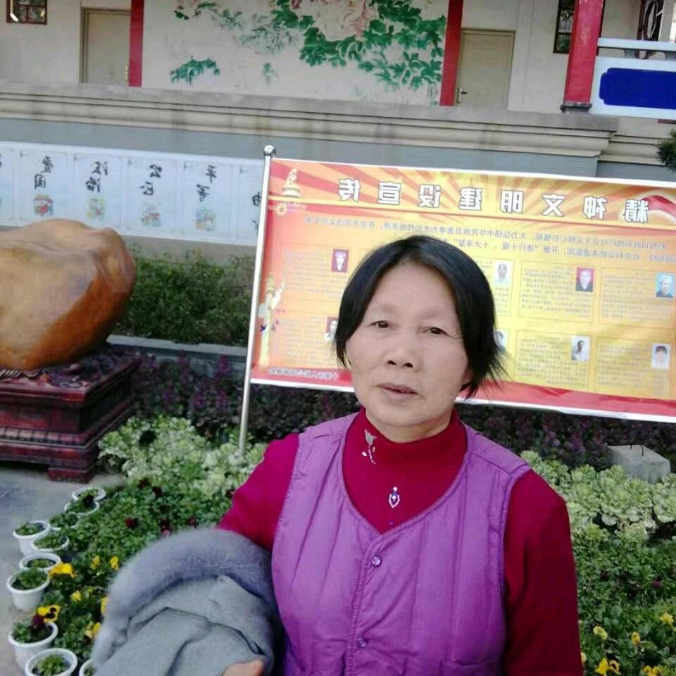 夏和平