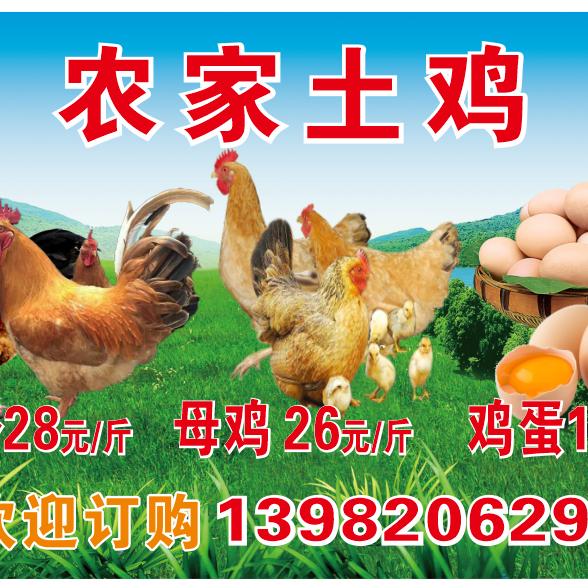 《玉姐独立》