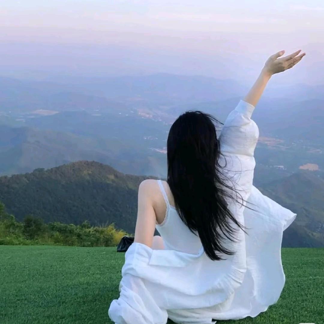 那只猫的口袋🐱