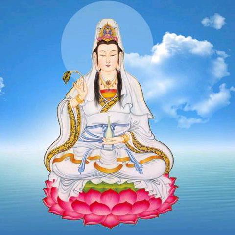 人间种草机小美