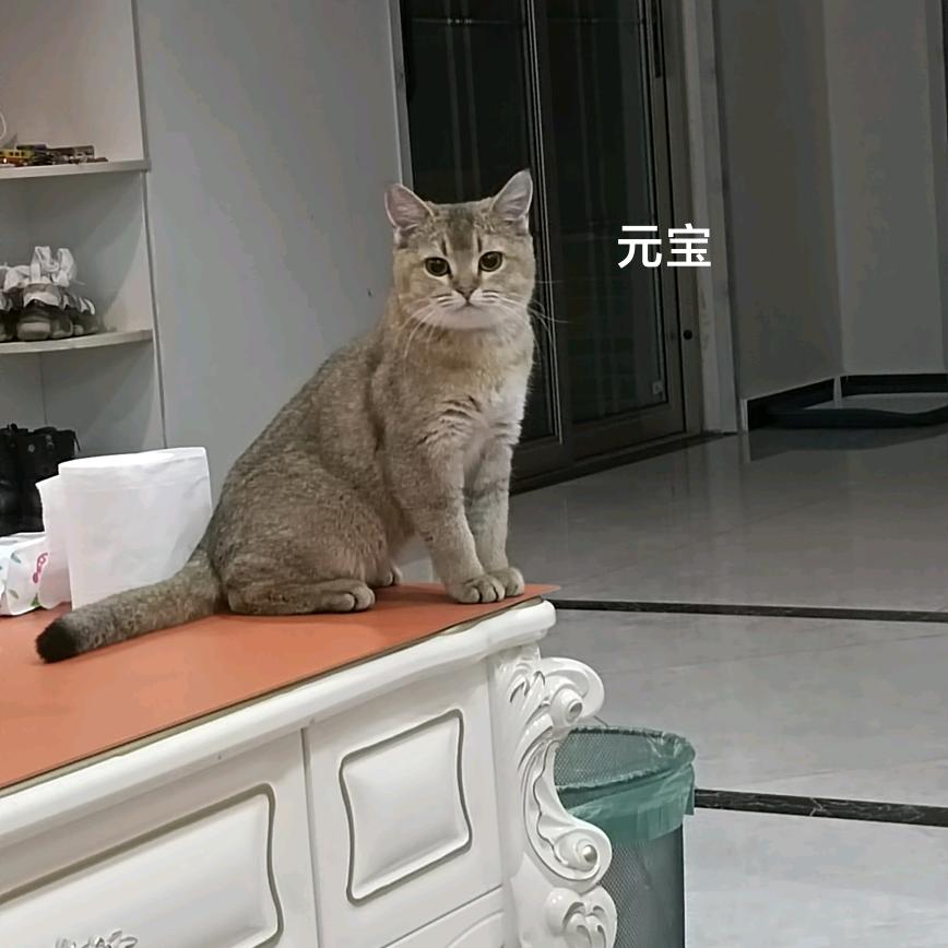 宿命