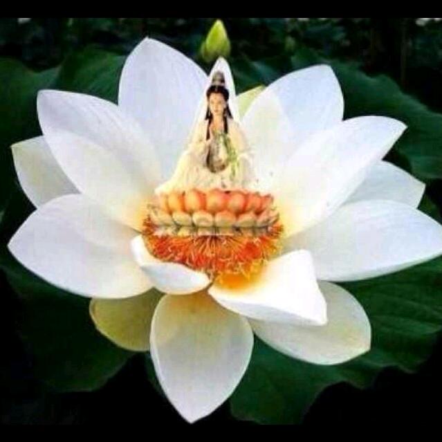 如心