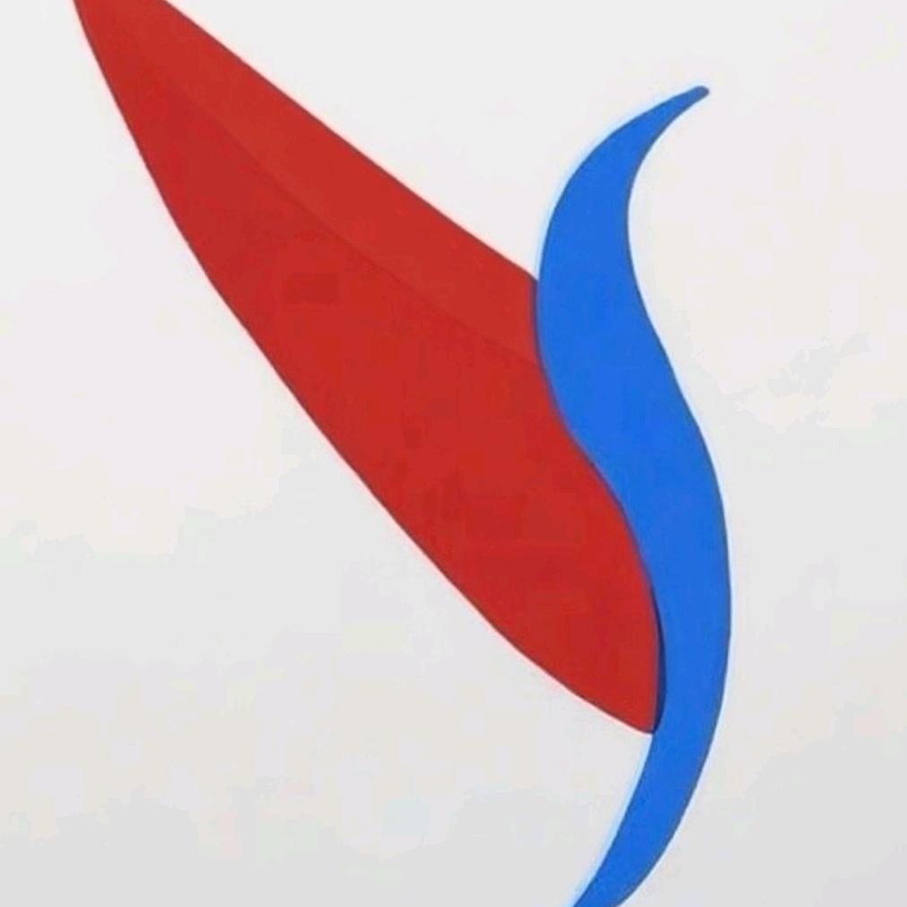 冰火航空公司Ледяная авиако