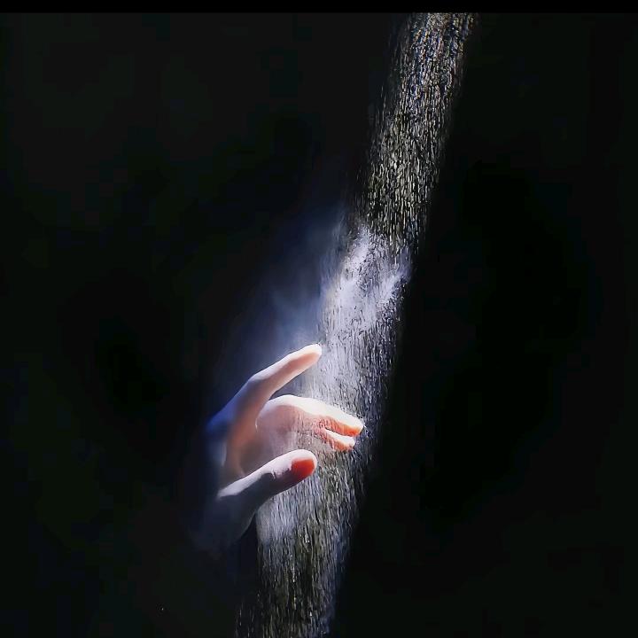 不知终日梦为鱼