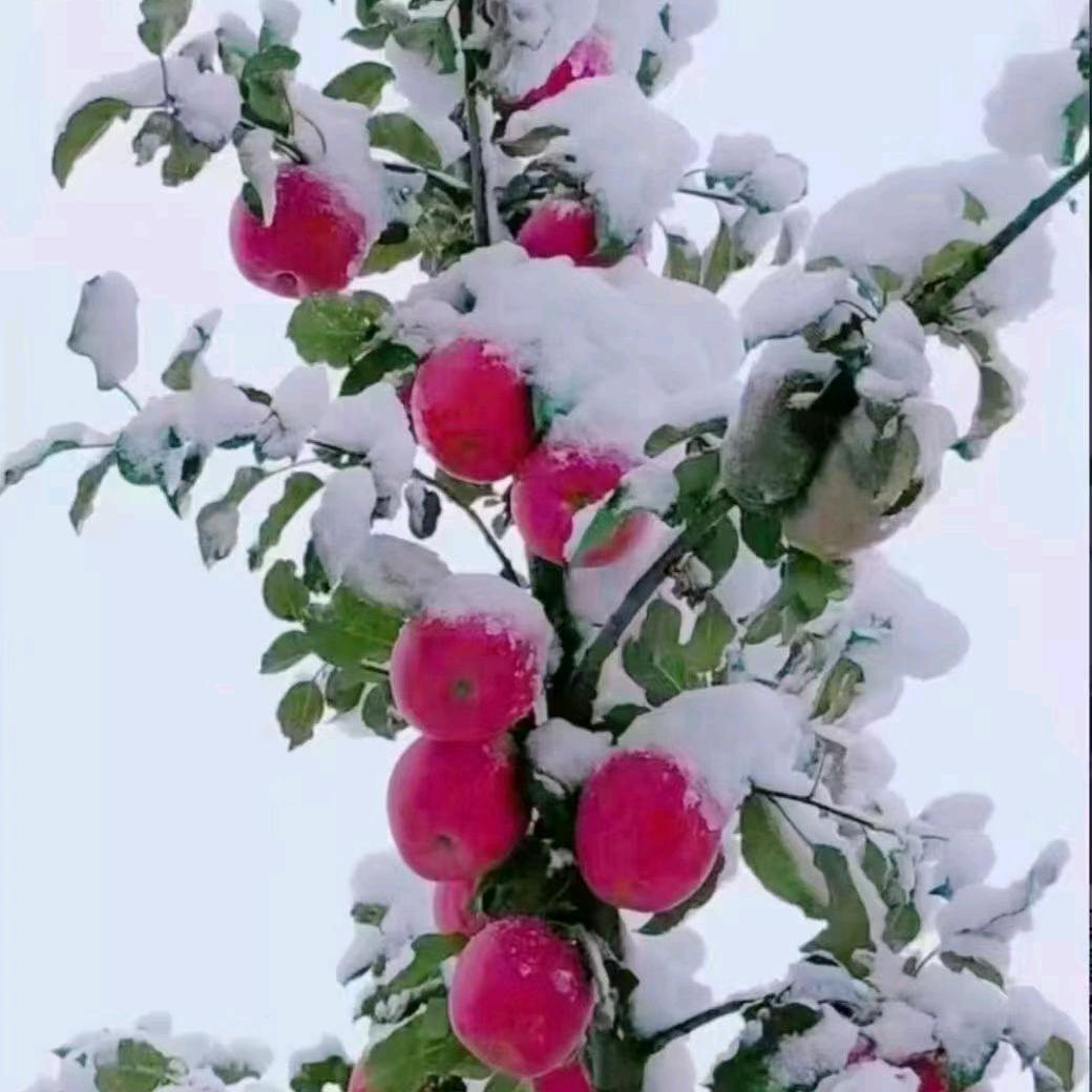 @一丹