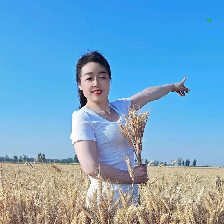小铃铛