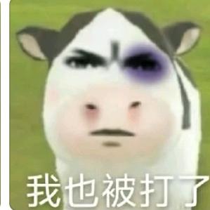 企鹅大王