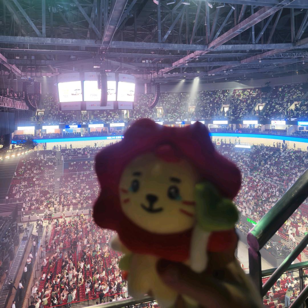 下一场山海里相见