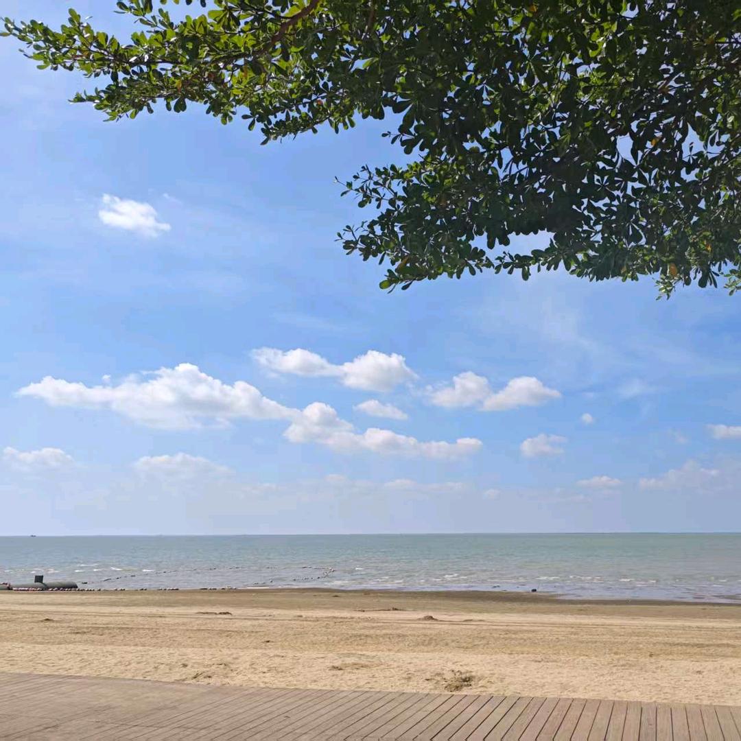 无忧🌷活在当下🌵