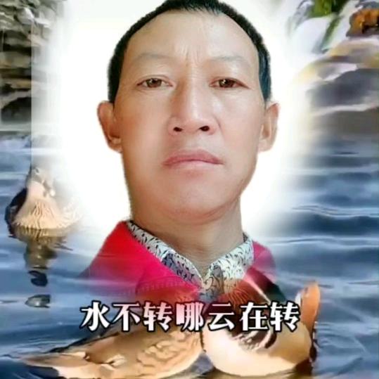 情系今生