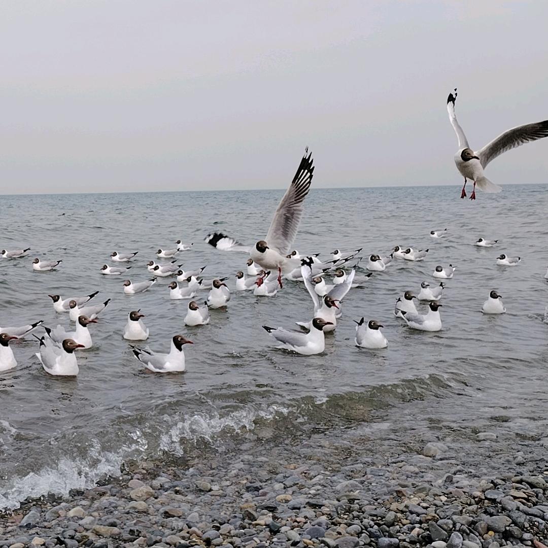 💗᭄余生ᝰᩚ随心ꦿ໌ᮨ້⁵