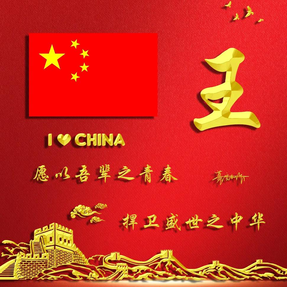 🇨🇳軍魂🇨🇳（90.3）