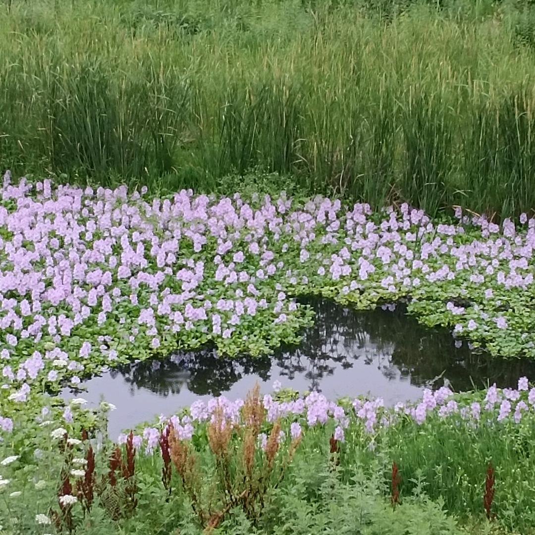 语儿妈妈🌸🍀