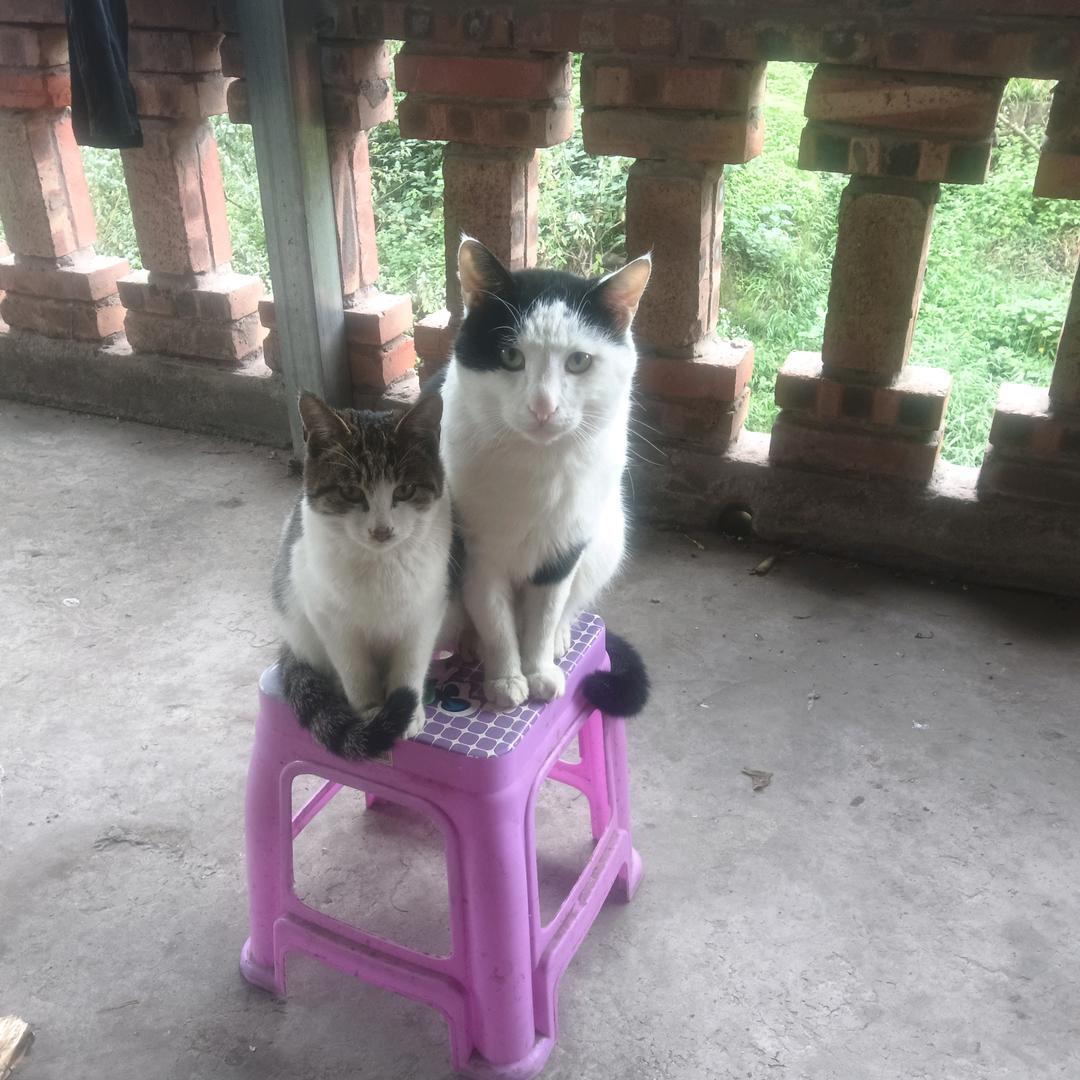 工地，单身哥，