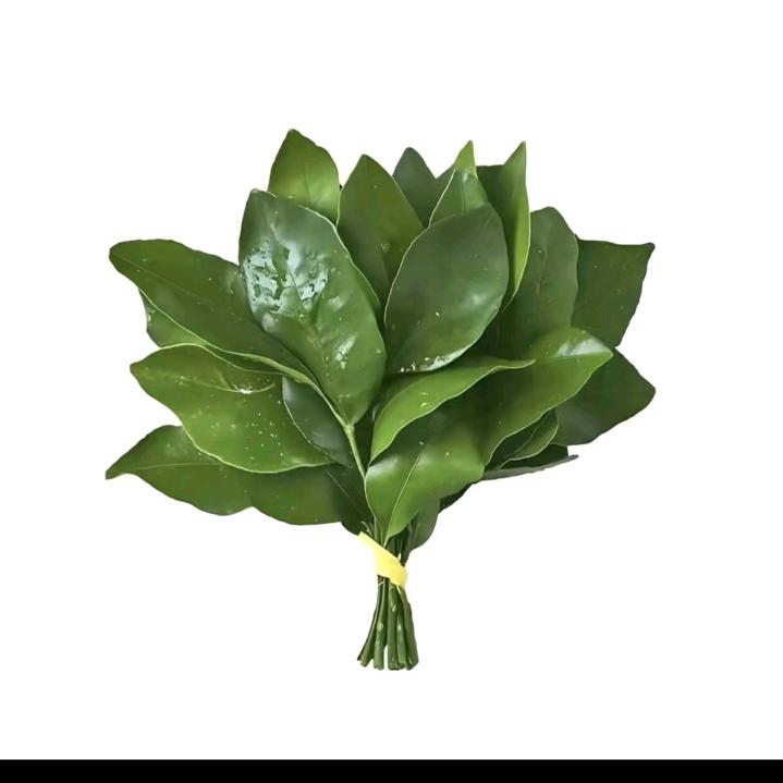 忙碌的麻辣烫🥘