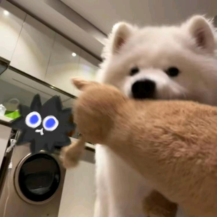 pupu