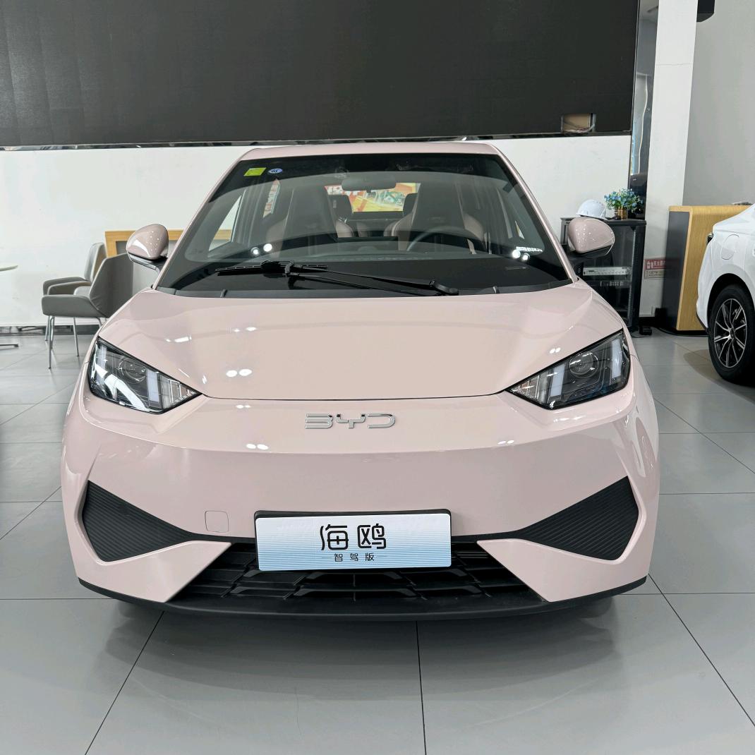 BYD-海鸥（最新动态）