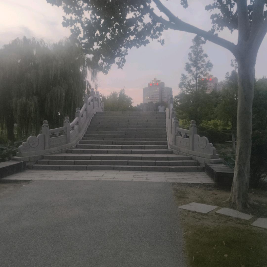 太阳男神