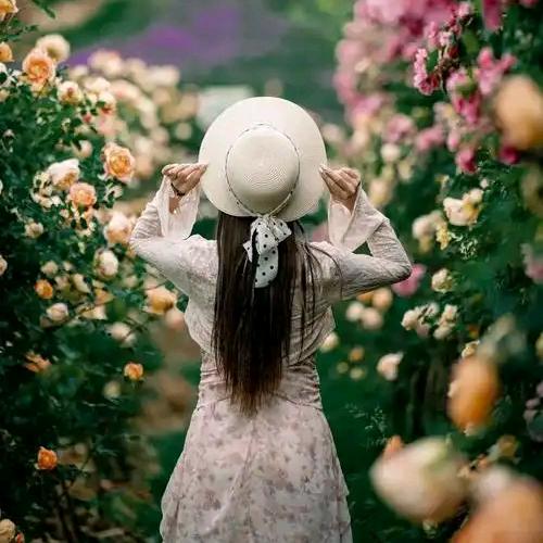 ♛一江春水向东流