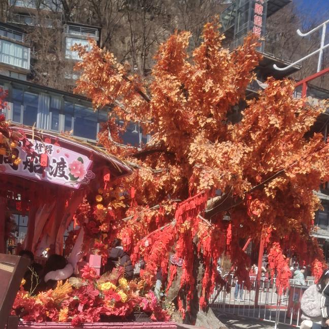 陪伴🌻