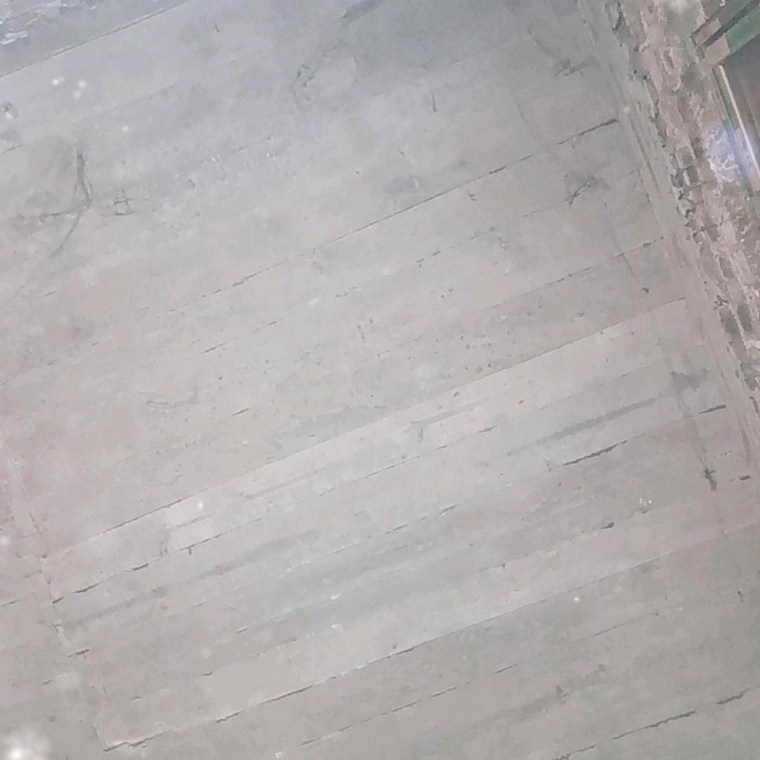 飞龙