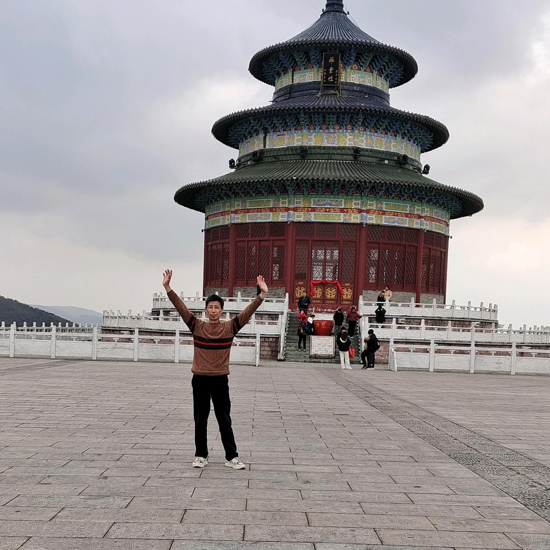 wong陈氏家簇