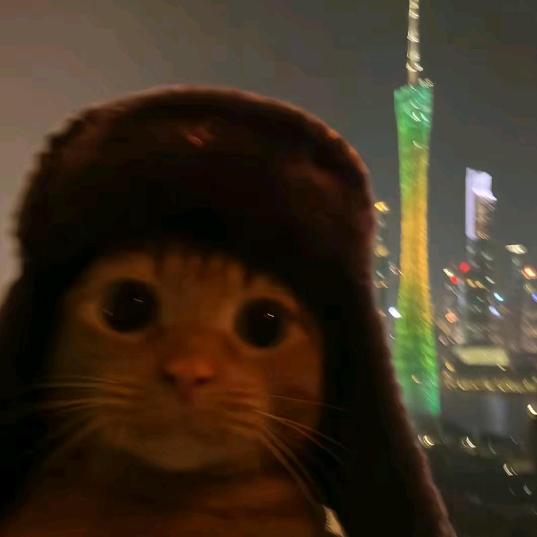 神券胀得厉害
