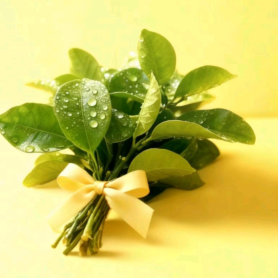 平面设计（接矢量图）