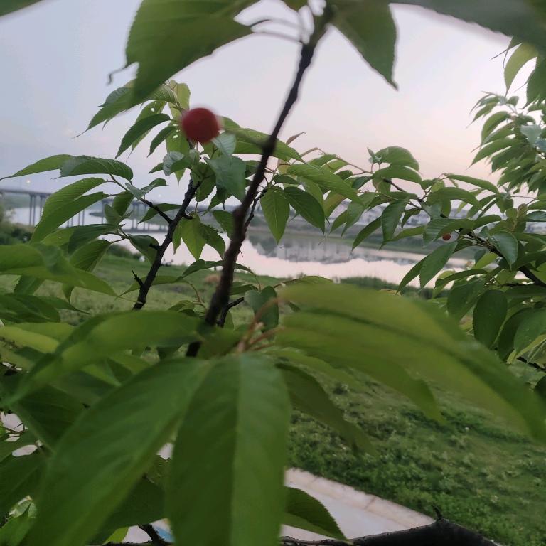 放过自己=放过他人，