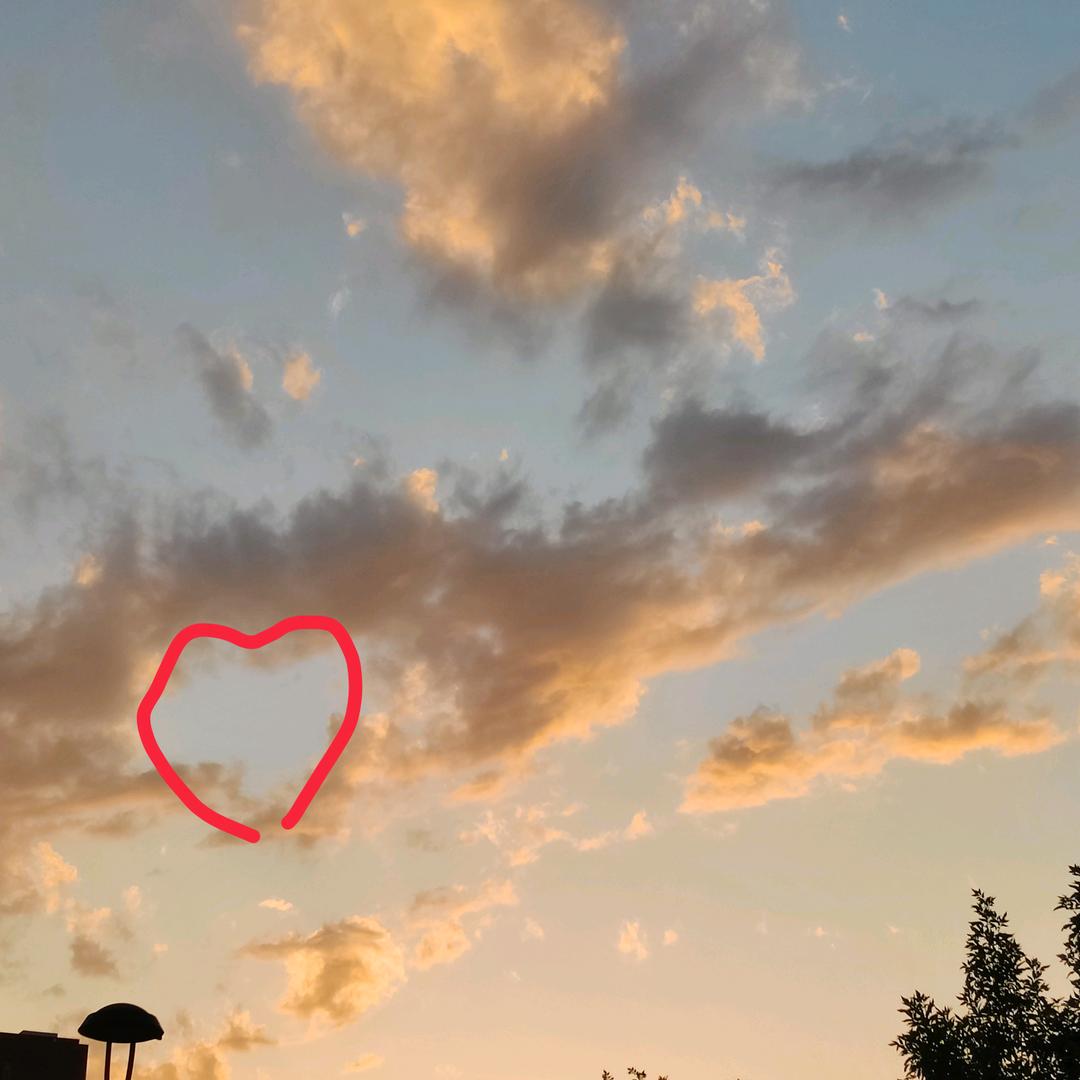 火爆鱿鱼卷儿ゝ