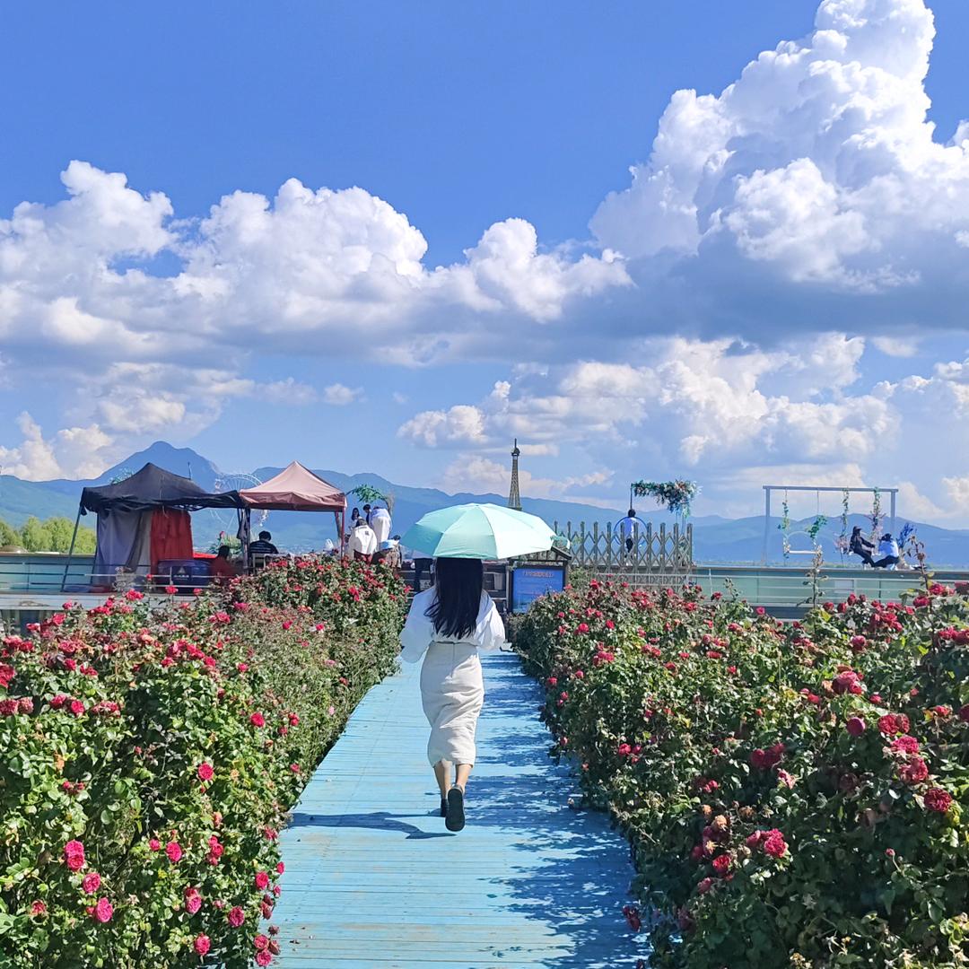 煜曦