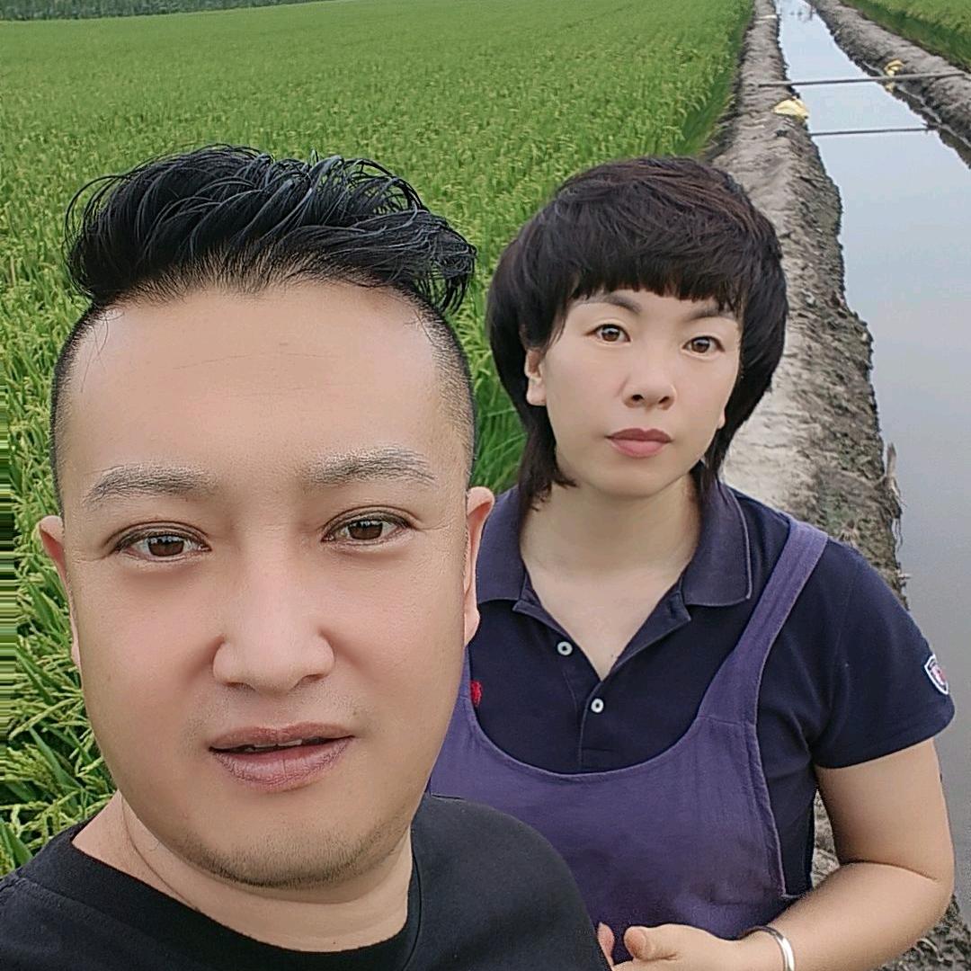 宁河最高礼仪～七里海小象鱼庄