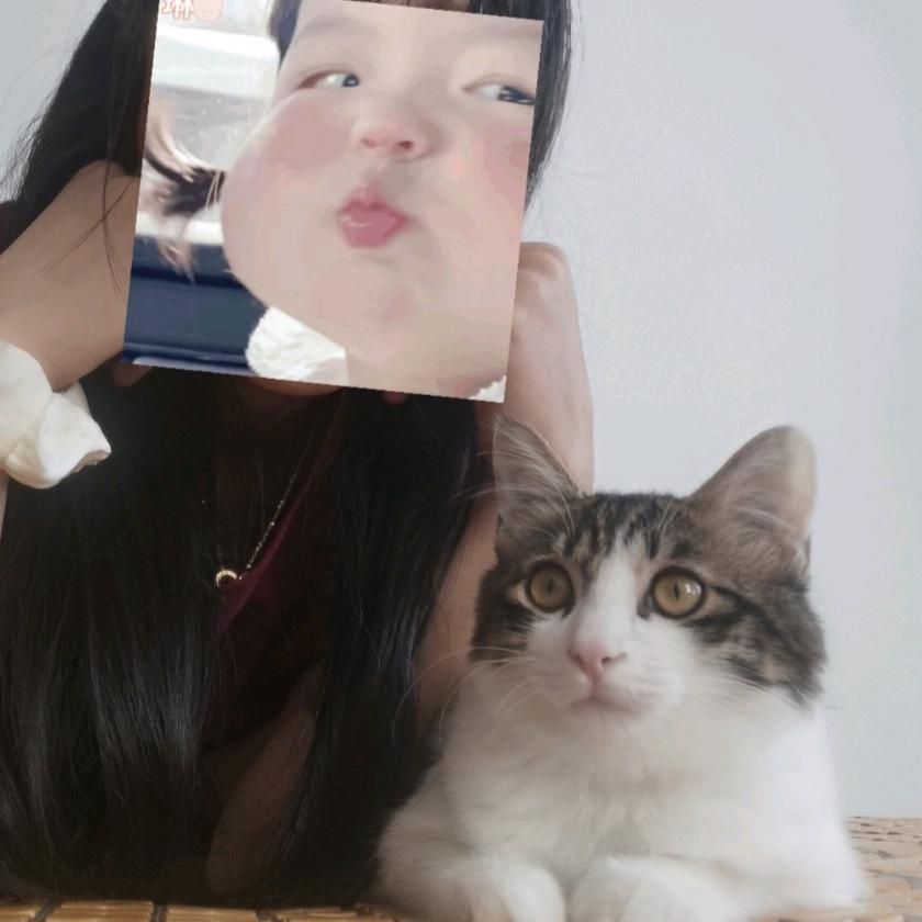 @是饭饭🐱宝贝🐾