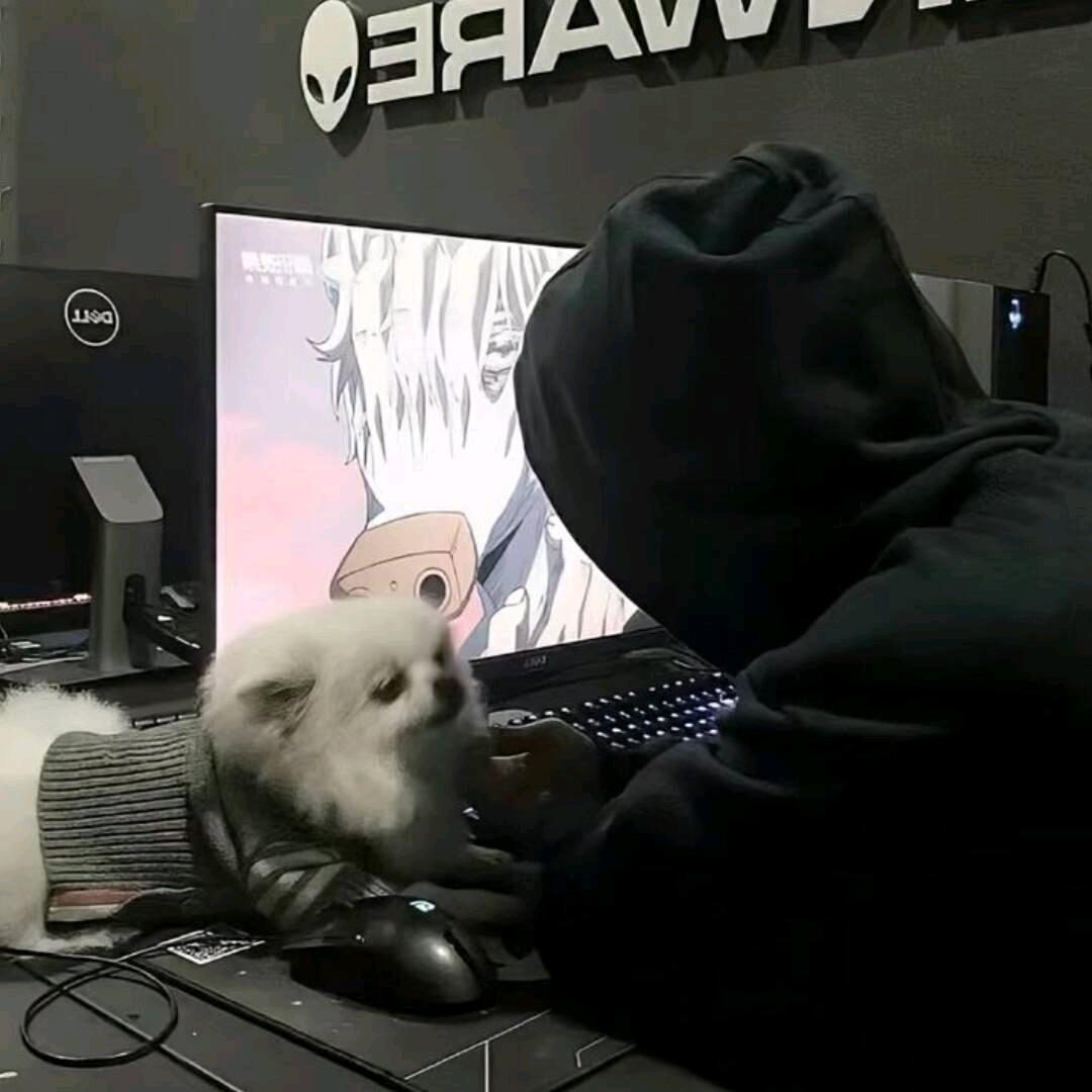 @～～王浩