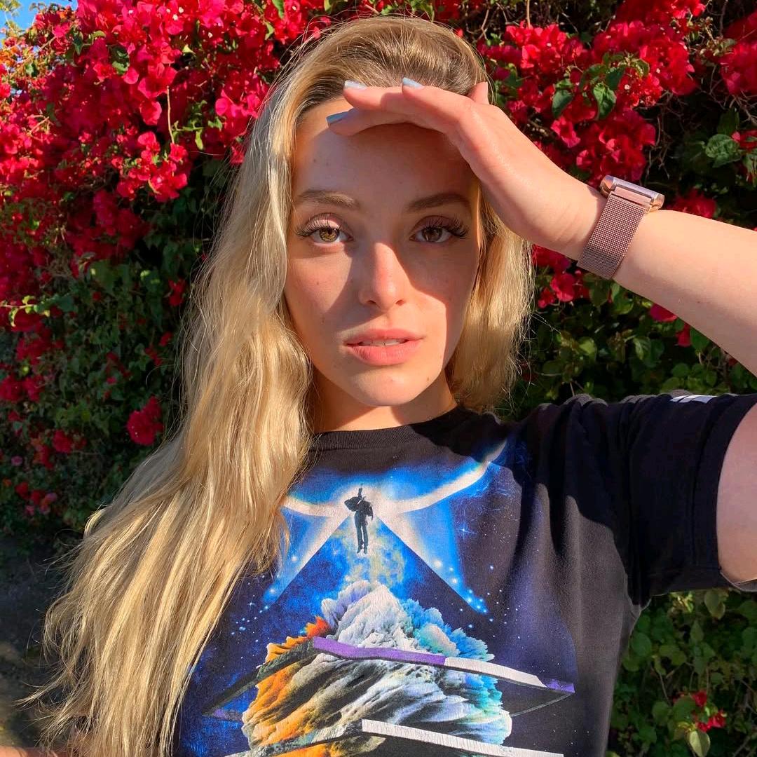 roselike（期待F1版