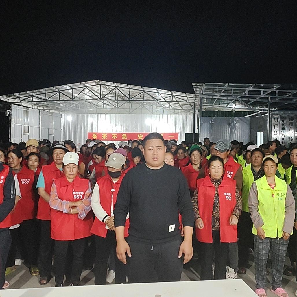 杨沙四川劳务团队