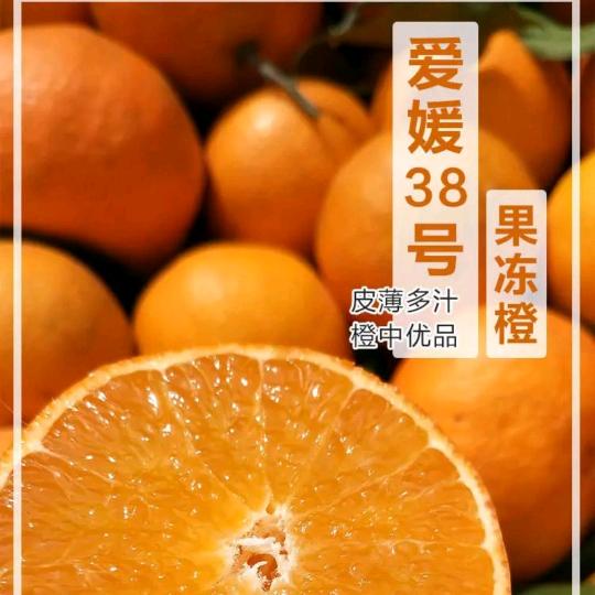 薯小妹