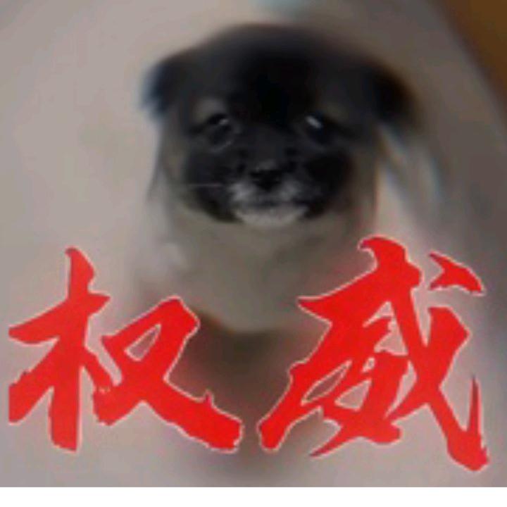 权威