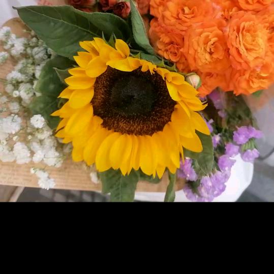 我一颗心的对你  你缺把我当空气