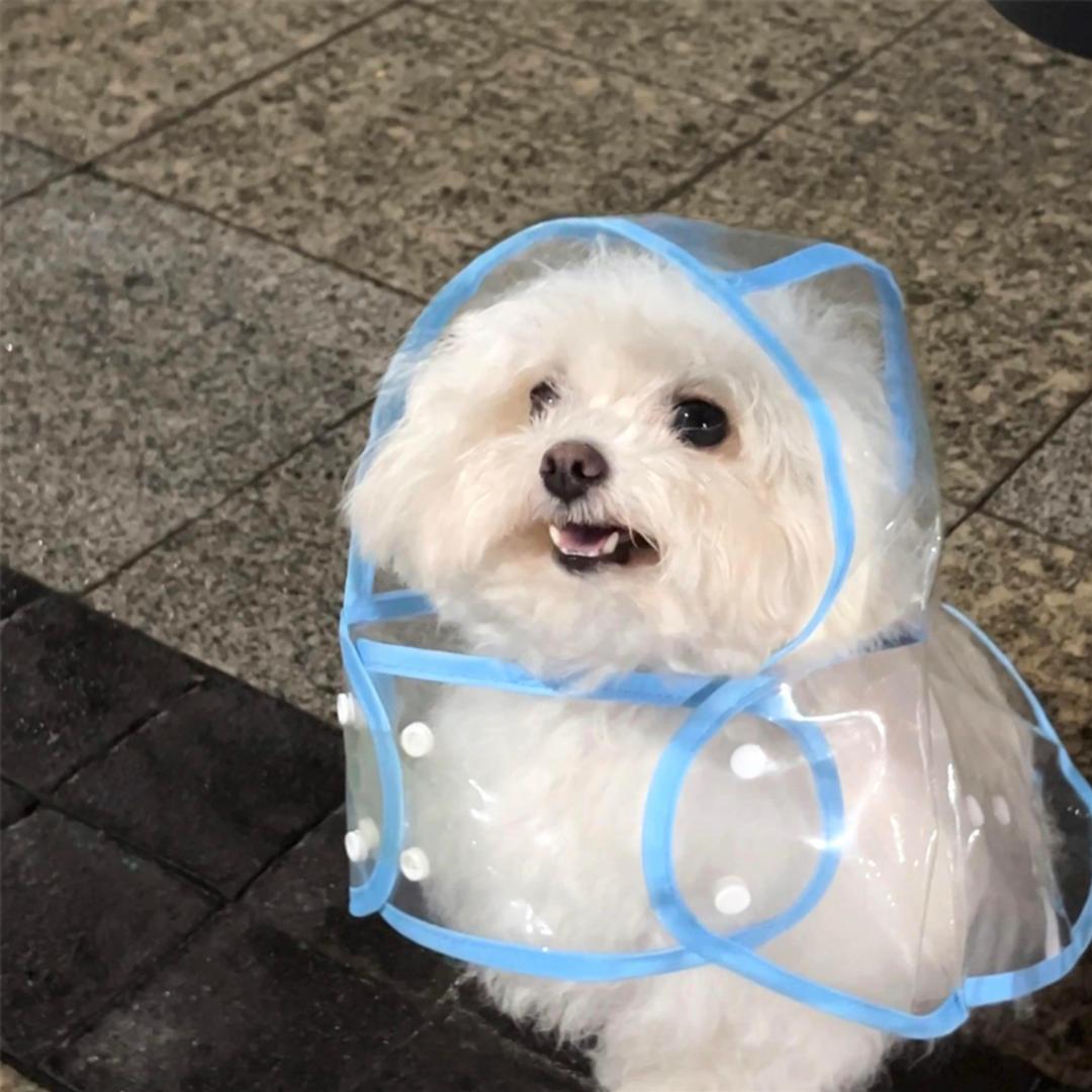 看透
