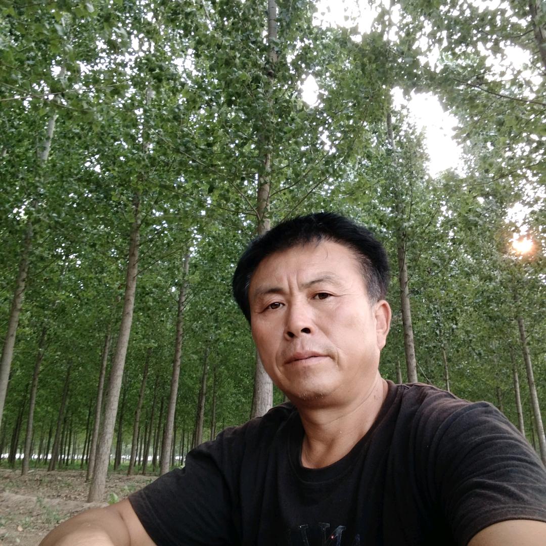 手机用户70246852586