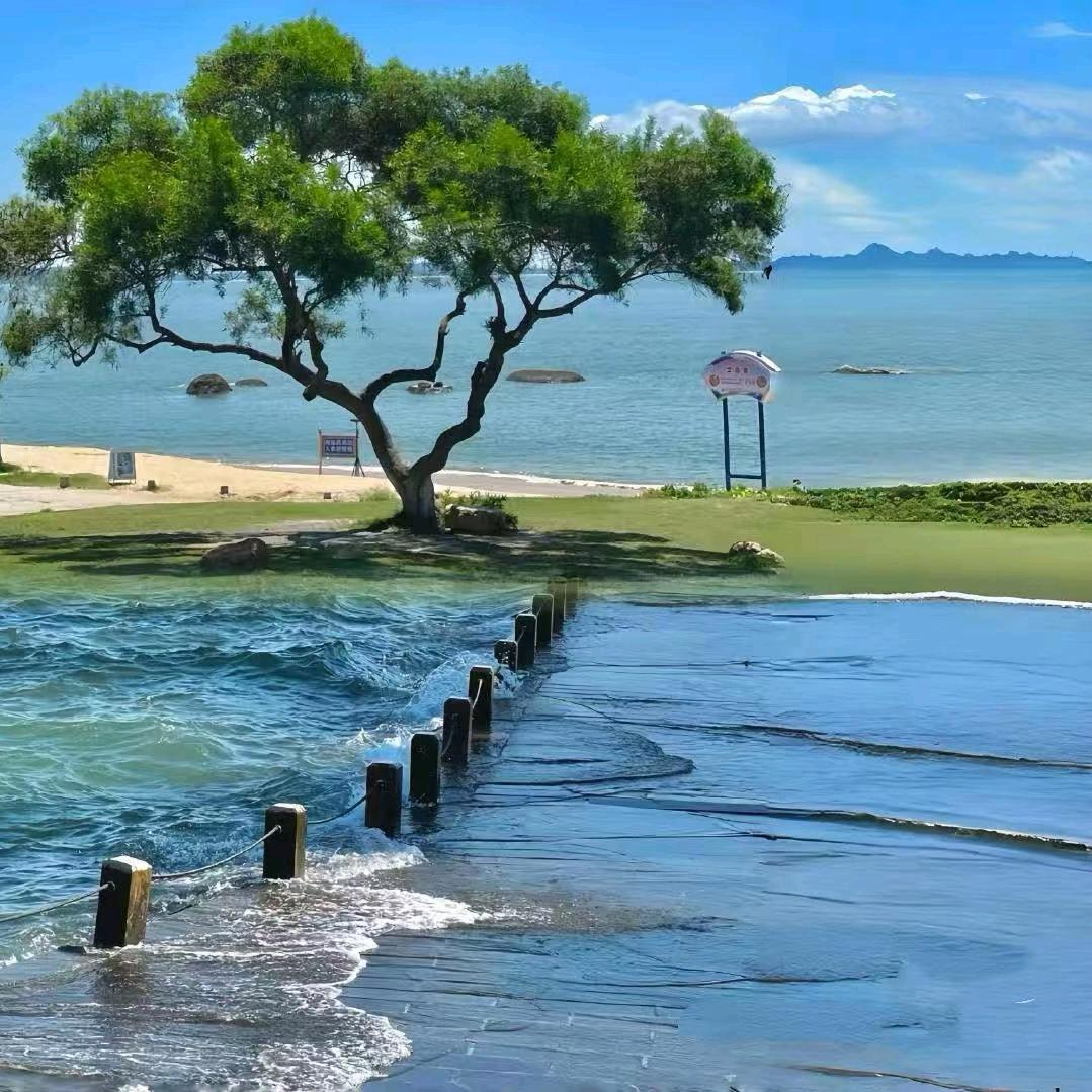 花开富贵a