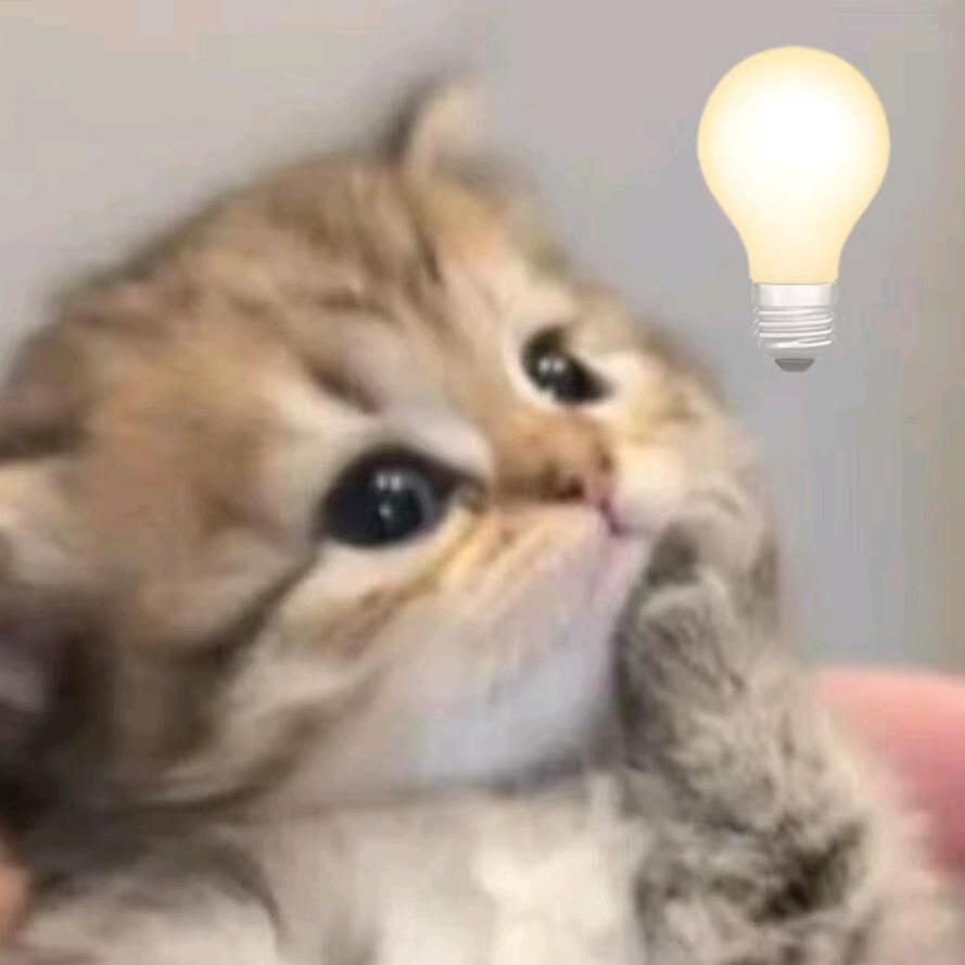 洛阳-买房租房🚩