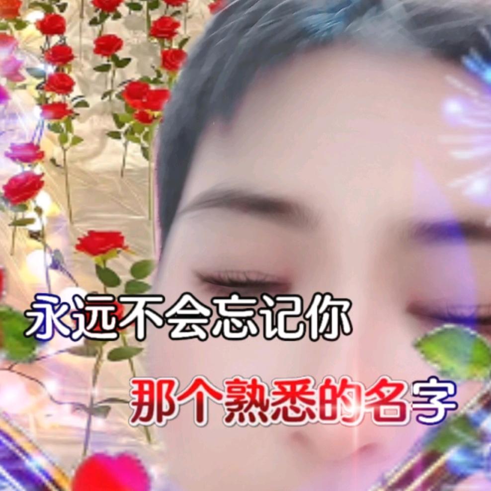 往事随风慧慧