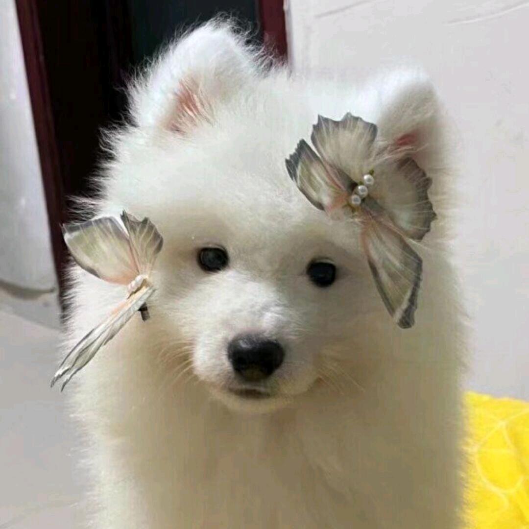 真的好困
