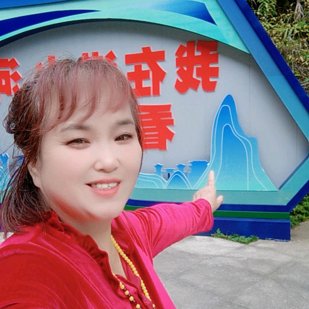 淑女（走路主播）