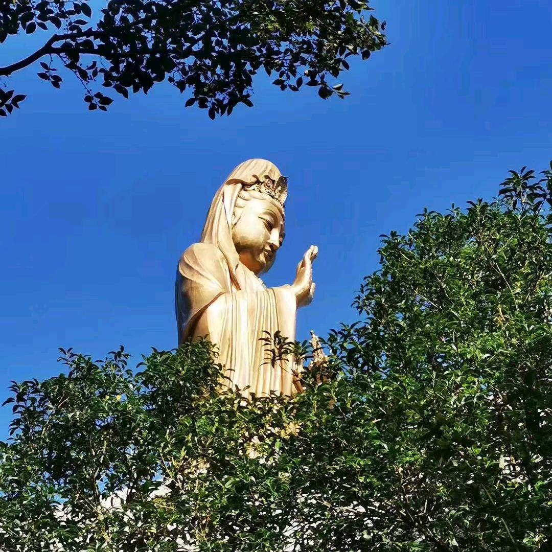 朱家尖竞之民宿