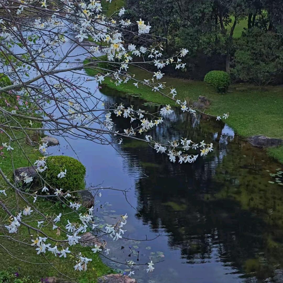 爱颜🍬《限流版》