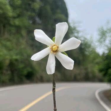 快乐满格……