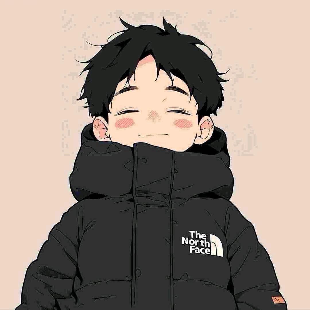 迪迦